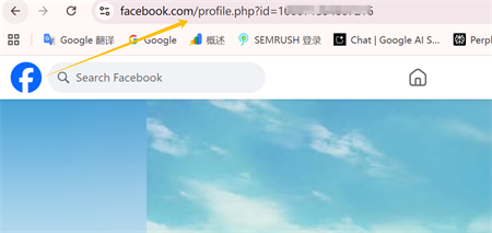 페이스북 프로필 링크